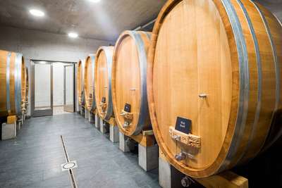 Gamay hat seine eigene Identität, unabhängig vom Dôle, in der Schweizer Weinwelt verdient.  