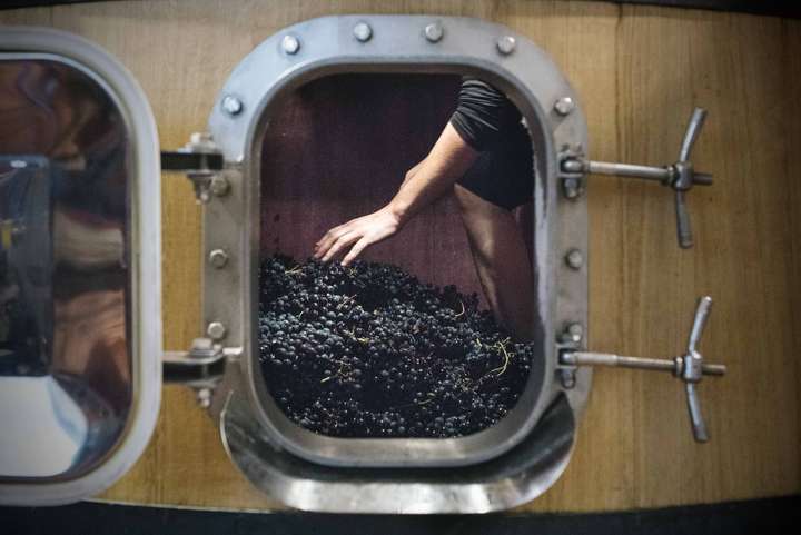 Bevor die Weinbereitungstechniken aus dem Bordeaux in Rioja Fuss fassten, wurden die Weine in Rioja traditionell mittels «Macération Carbonique» hergestellt.