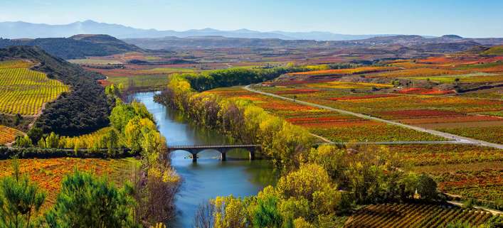 Auch für das Auge ein Genuss: Die sanften Hügel des Weinanbaugebiets im Norden Spaniens