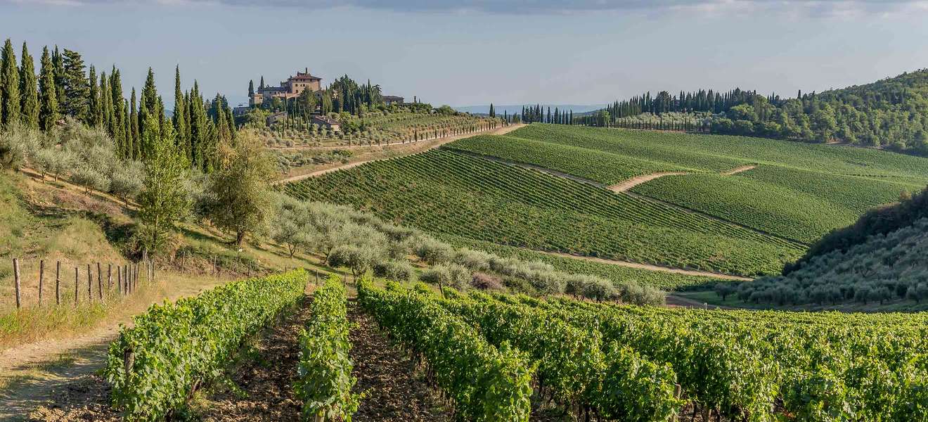 Die wunderschöne toskanische Landschaft in der berühmten Chianti Classico-Weingegend zwischen Siena und Florenz, Italien. 