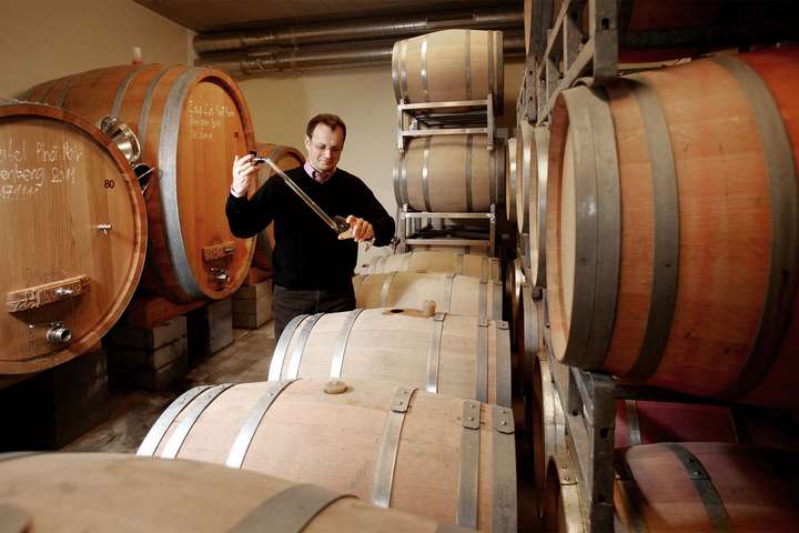 Urs Zweifel produziert in Zürich erfolgreich Wein.
