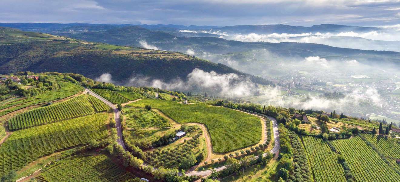 Weite Täler und sanfte Hügel kennzeichnen die Weinlandschaft des Valpolicella – hier entstehen Amarone und Recioto.