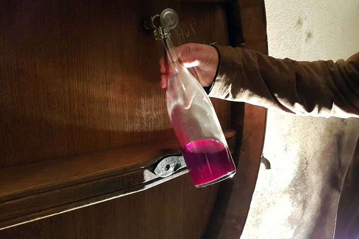 Im Gut Gasqui wird Wein biodynamisch produziert – ein Besuch lohnt sich.