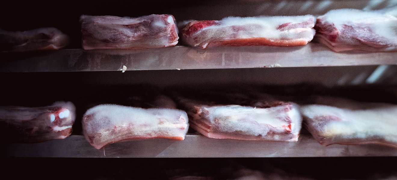 Höchste Fleischqualität dank Edelschimmel. Bei Luma reift das Fleisch Wochen unter einem dichten Pelz. 