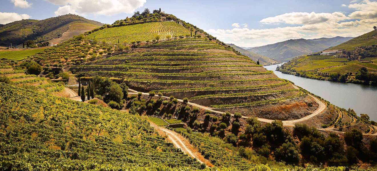 Der Douro schlängelt sich auf knapp 900 Kilometern Länge durch den Norden der iberischen Halbinsel. Zwischen der spanisch-portugiesischen Grenze und etwa 100 Kilometern vor der Mündung in den Atlantik liegt das Anbaugebiet Douro-Tal.