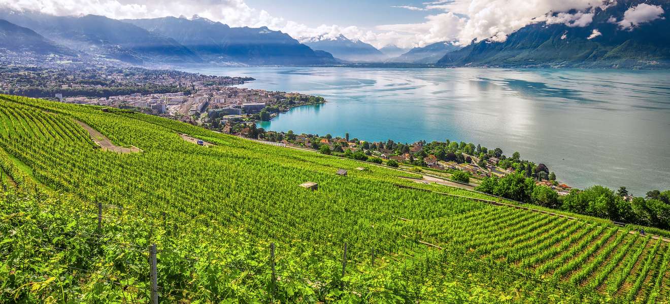 Das Weinbaugebiet Lavaux am nordöstlichen Ufer des Genfersees.