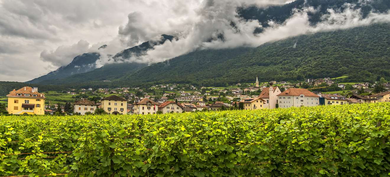 Die unterschiedlichen Bodentypen und das Klima machen die Weine in Südtirol so speziell.