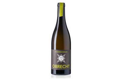 Chardonnay 2019, Weingut Obrecht