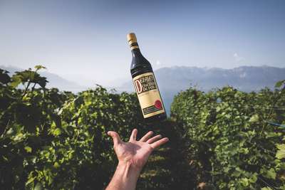 Weingut Lux Massy Vins