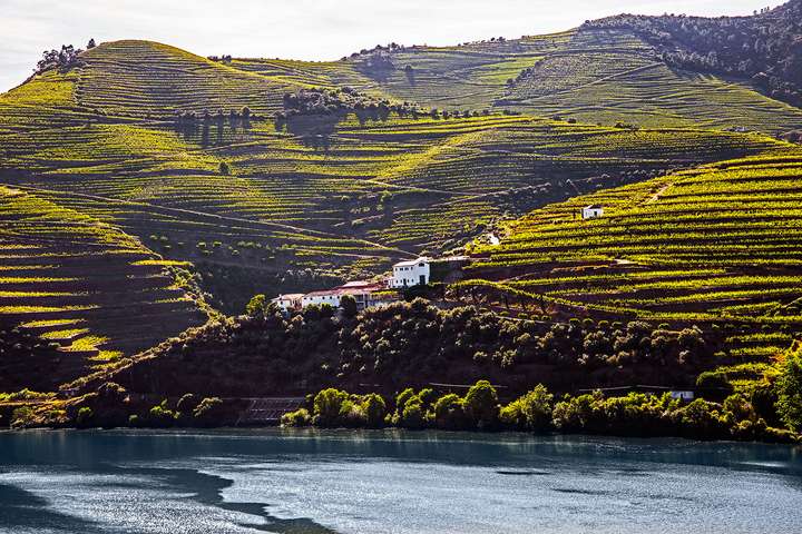 Wie steil und beeindruckend die Rebterrassen im portugiesischen Douro-Tal sind, lässt sich am besten vom Fluss selbst aus entdecken. Vor uns die Quinta da Boavista.