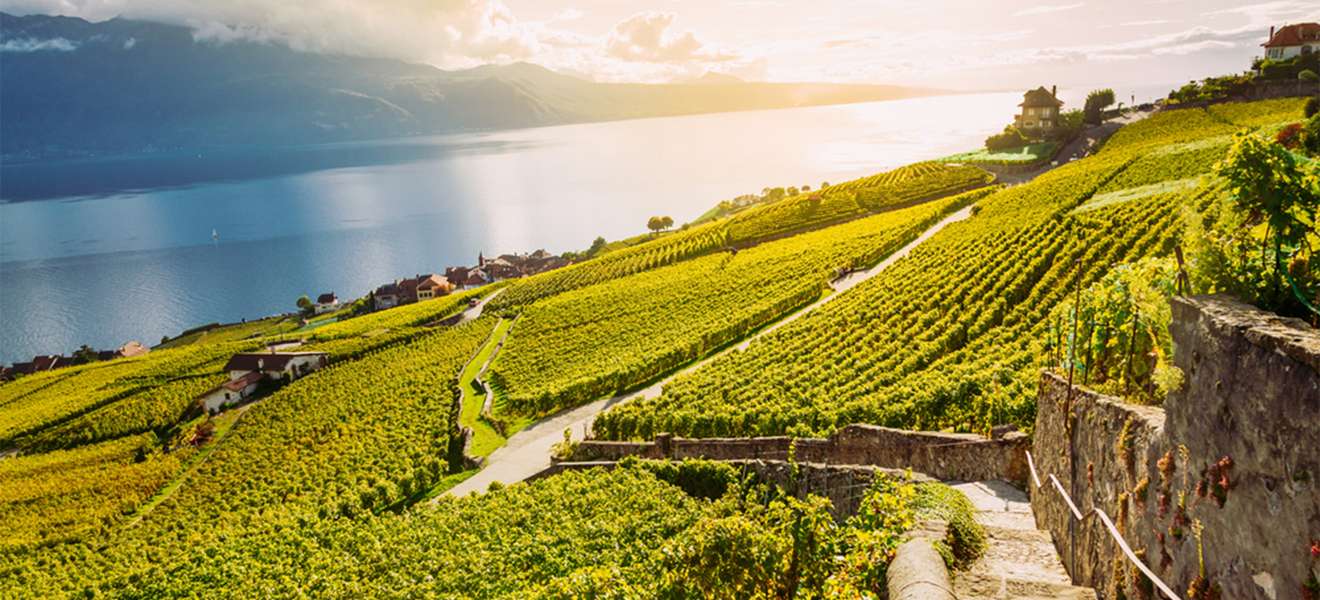 Das Lavaux zählt zu den schönsten Weinregionen der Schweiz