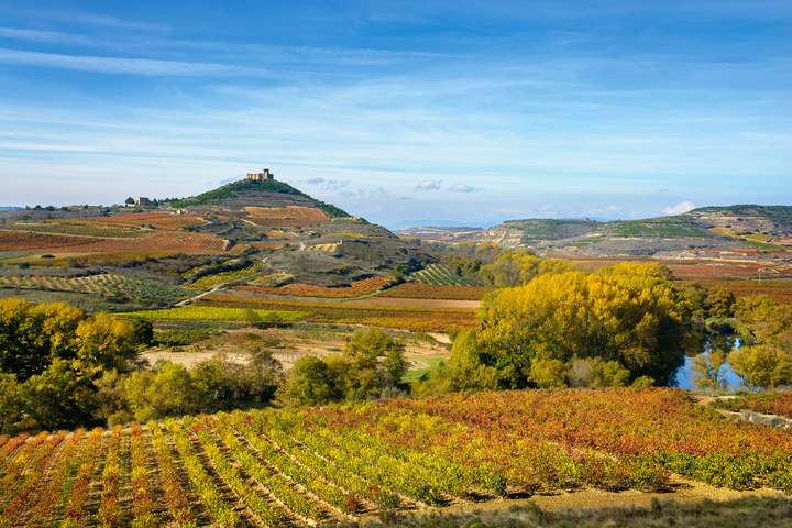 Traumhafte Weinlandschaft in Davalillo Ebro.