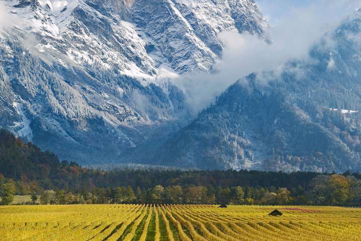 Hoch türmen sich die Berge über den Weingärten im Kanton Graubünden in der Ostschweiz.