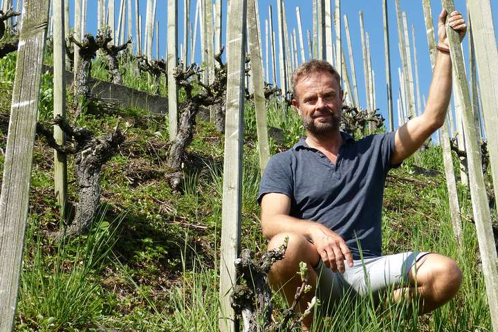 Holger Herbst pflegt alte Reben im Zürcher Weinland – ein Glücksfall für den passionierten Rebbauer.