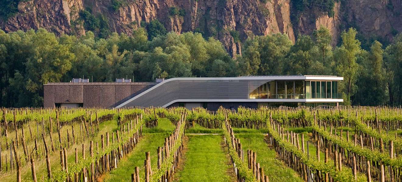 Das Weingut F.X. Pichler in der Wachau setzte gemeinsam mit architekten TAUBER neue Massstäbe in Sachen moderne Weinbauarchitektur.