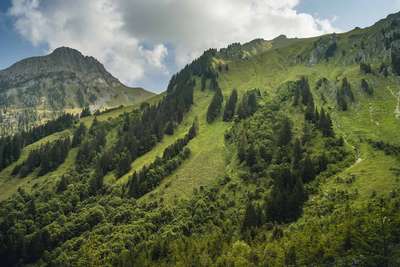 Traum in Grün: das Naturschutzgebiet La Pierreuse unter der Gummfluh.