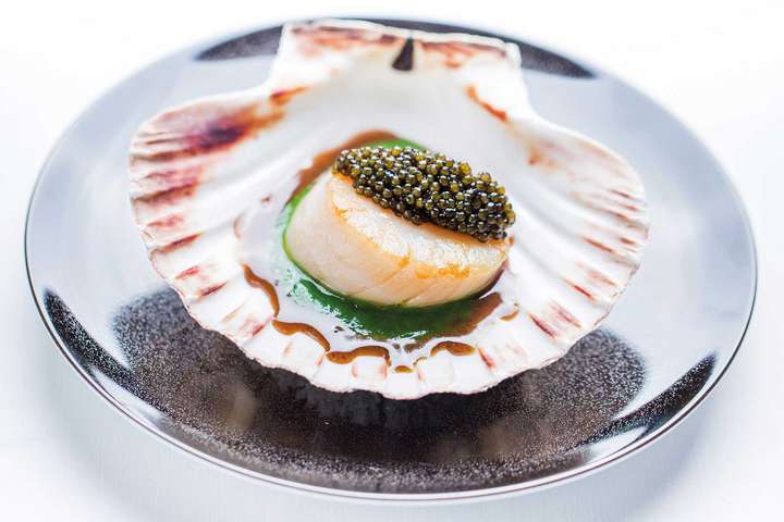 Jakobsmuschel mit Kaviar auf Salatcreme: Eine Kreation von Alain Ducasse. / Foto: beigestellt