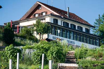 Slow-Food-Bio-Restaurant des Jahres: «Kräuter Hotel Edelweiss», Rigi Kaltbad  
