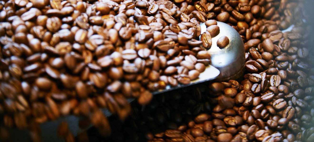 Von der Bohnen­auswahl bis hin zum Selberrösten: Mikroröstereien wie «ViCafe» verschreiben sich voll und ganz dem Ziel, den besten Kaffee herzustellen.