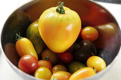 Garnelen auf Tomaten-Eichblatt-Salat 