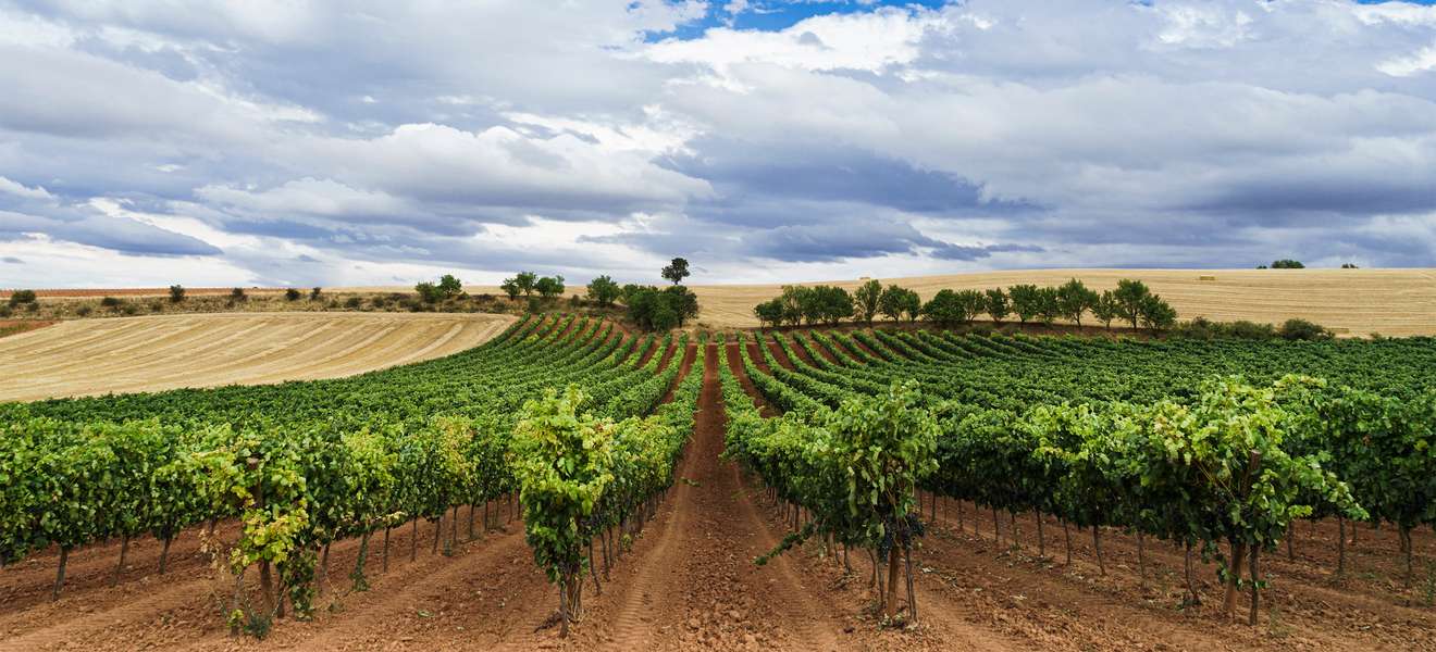 Ribera del Duero liegt in der grossen Weinbauregion Kastilien-Leon im Norden Spaniens.