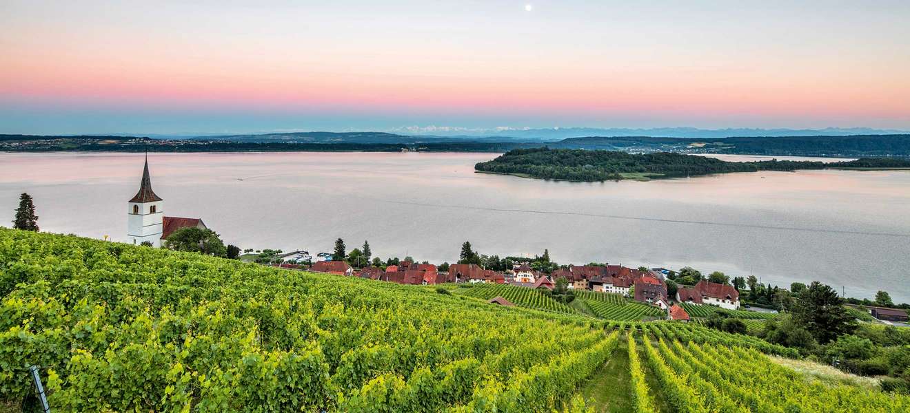 Hoch über dem Bielersee und streng Richtung Süden ausgerichtet: Die Weinhänge des Jura bringen einige der spannendsten Weine der Schweiz hervor.