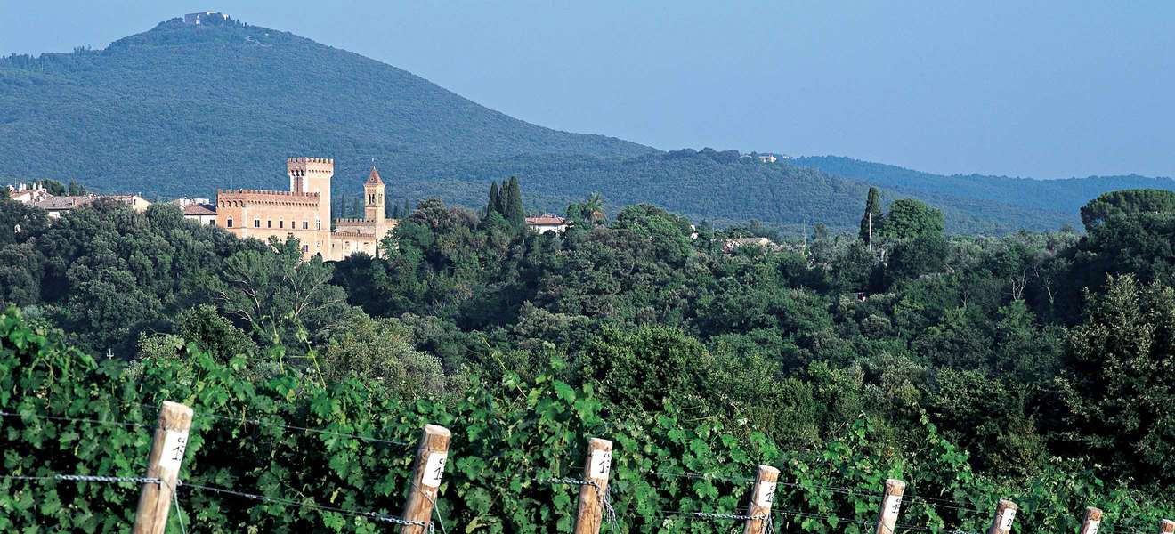 Die Weinlandschaft rund um das Weingut Masseto in Bolgheri.