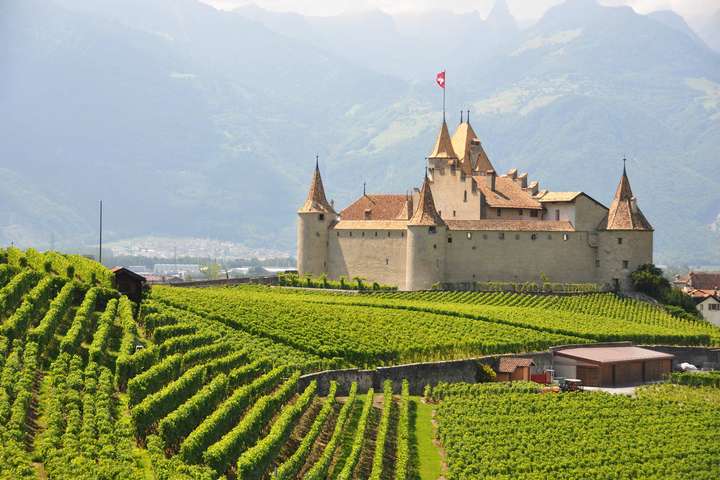 Das Schloss von Aigle ist von Weinbergen und Alpen umgeben.