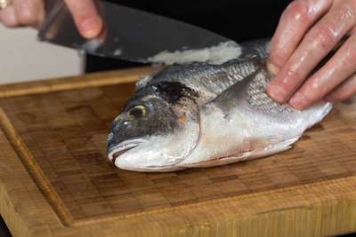 Kann man auf eine bestimmte Fischart allergisch sein?