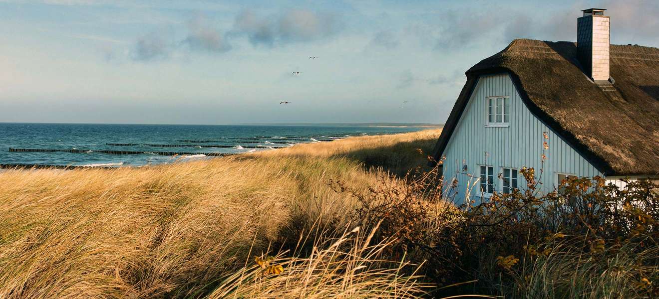 Von der Ostseeküste nicht wegzudenken: die hübschen reetgedeckten Häuser direkt hinterm Deich. 