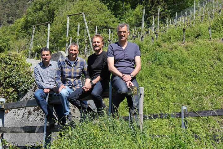 Hansruedi Adank vom Weingut Adank, Hanspeter Lampert vom Weingut Heidelberg und Jürg Liesch und Ueli Liesch vom Weingut Trieb