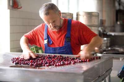 Der deutsche Destilliermeister Siegbert Hennig von der Meissener Spezialitätenbrennerei ist immer auf der Suche nach dem besten Ausgangsmaterial. Er will «das Obst sehen».