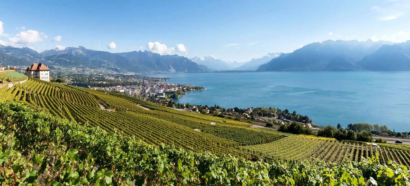 Die Weinregion Lavaux am Genfersee